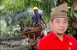 DPRD Inhu Soroti Nasib Buruh Pasca Penyitaan Kebun Sawit oleh Satgas PKH