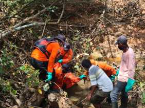 Petani Sawit Hilang Sejak Pergi Memanen, Ditemukan Meninggal Dunia
