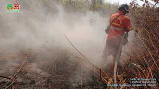 Kepulan Api Karhutla Sungai Guntung Hilir Merangsek ke Hutan Primer, Alat Berat Tambahan Dikerahkan