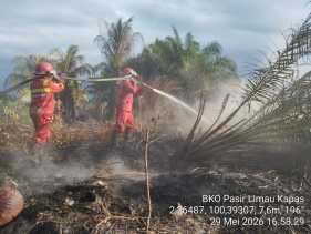 Manggala Agni Hadapi Tiga Karakteristik Karhutla Berbeda di Siak, Rohil, dan Pelalawan