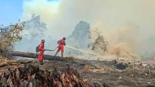 Asap Pekat dan Angin Kencang Hambat Pemadaman Karhutla di Kerumutan Pelalawan