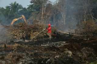 Penanganan Karhutla Maksimal, Riau Dikeluarkan dari Daftar Provinsi Prioritas Nasional