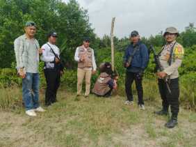 Tiba di Desa Danai Inhil, BBKSDA Riau Langsung Pantau Harimau dengan Drone dan Kamera Trap
