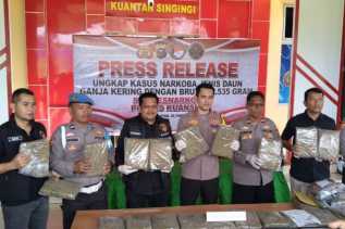 Polres Kuansing Bongkar Jaringan Ganja Lintas Kota, 21 Paket Besar Disita dari Plafon Kos
