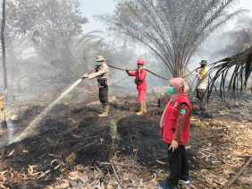 Kebakaran Lahan Gambut di Bengkalis Padam dalam Sekejab Dikeroyok Tim Gabungan