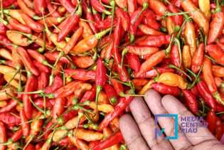 Harga Cabai Merah Picu Inflasi, Sekda Riau Intruksikan OPD Terkait Gencar Operasi Pasar