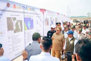 Hingga 2028, Pemulihan Kawasan TNTN Ditargetkan Mencapai 66.704 Hektare