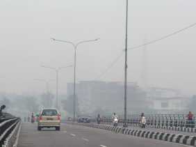 Kualitas Udara Pekanbaru Jumat Pagi Tidak Sehat, PM2.5 Tembus 117,4 µg/m³