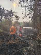 Petugas Berjibaku Padamkan Karhutla Sungai Beringin yang Capai 15 Hektare