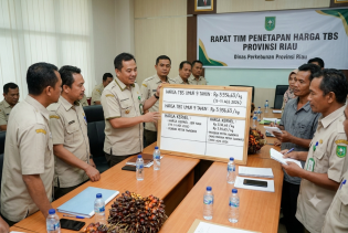 Harga TBS Mitra Swadaya Riau Naik, Umur 9 Tahun Tembus Rp3.936,63 per Kilogram