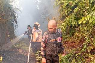 Sempat Padam, Karhutla Sungai Beringin Tembilahan Kembali Muncul