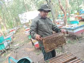Jejak Manis Bambang Sugeng: Dari Badai Pandemi Jadi Peternak Madu dan Penjaga Hutan Riau