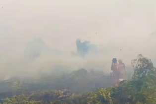 Melawan Angin, Menjinakkan Bara: Detik-Detik Menegangkan di Hutan Pematang Pudu