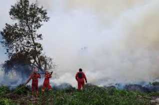 Empat Titik Karhutla di Riau Masih Ditangani, Tim Gabungan Bergerak Cepat Lakukan Pemadaman