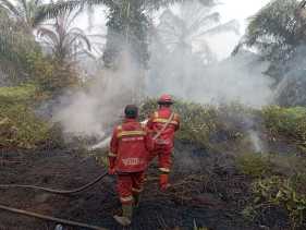 Karhutla Riau Hari Ketiga: Manggala Agni Fokus Lakukan Pendinginan di Rohil dan Siak