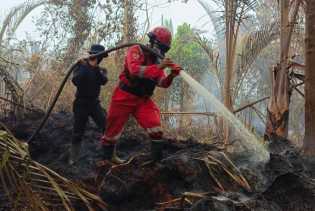 Ingatkan Sanksi Pidana, Bupati Meranti Minta Masyarakat Tak Melawan Hukum Terkait Karhutla