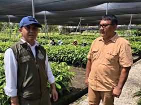 Menhut RI Raja Juli Antoni Ungkap Jenis Pohon untuk Rehabilitasi Tesso Nilo