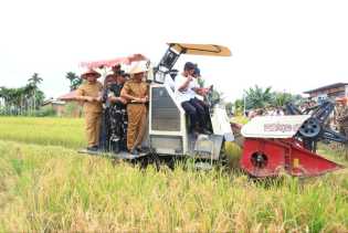 1.665 Petani Milenial di Riau Terlibat Penguatan Swasembada Pangan Nasional