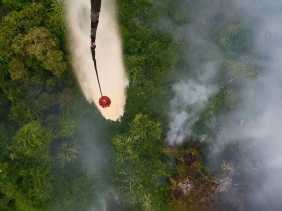 Dukung Tim Darat, Heli Water Bombing Dikerahkan Padamkan Karhutla di Inhu dan Bengkalis