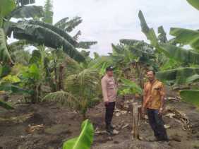Bhabinkamtibmas Polsek Pulau Burung Cek Pertumbuhan Bunga Pisang di Teluk Nibung Mendukung Program Asta Cita