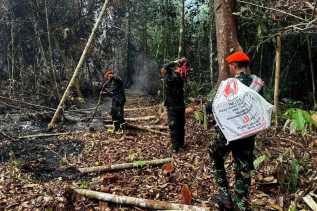 Tiga Tim Kopasgat Kembali Diterjunkan ke Lokasi Karhutla di Pelalawan