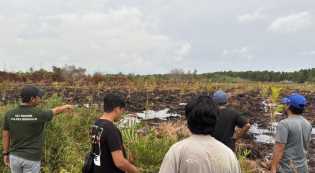 Niat Basmi Sarang Tawon, Pria Ini Justru Sebabkan Lahan Terbakar 3 Hektare