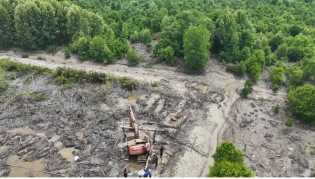 Perusak 111 Hektare Hutan Mangrove di Dumai Ditangkap Polda Riau