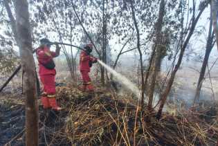 Demi Kejar Api Sejak Pagi, Tim Manggala Agni Menginap Dekat Lokasi Karhutla Pematang Pudu