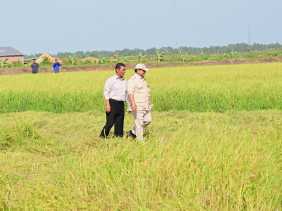 Tegaskan Kesiapan Indonesia Hadapi El Nino, Mentan: Stok Beras Tertinggi Sepanjang Sejarah