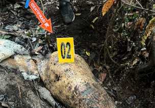 Alarm Darurat Satwa: Gajah Sumatera Terus Dibantai, Siapa Aktor Intelektualnya?