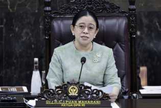 Karhutla Riau: Puan Maharani Sebut Butuh Sinergi Kuat Semua Stakeholder