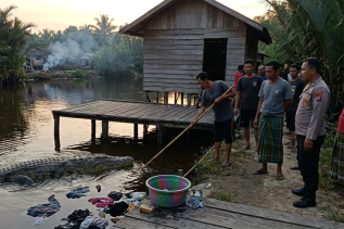 Kronologi Tragis Santi, IRT di Siak yang Diseret Predator Sungai Saat Senja