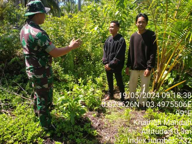 Babinsa Mandah Lakukan Penataan Lahan Gambut dari Karhutlah