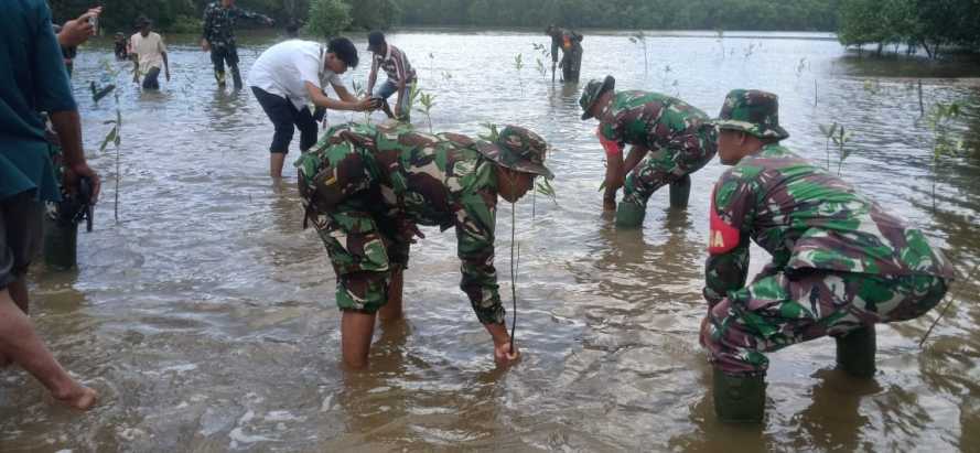 Cegah Banjir dan Abrasi, Personil Koramil 11/Pulau Burung Gelar Aksi Nyata Tanam Mangrove