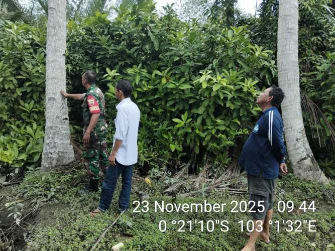 Babinsa Koramil 01/Tembilahan, Sertu Suratno, melaksanakan patroli tapal batas di wilayah Kelurahan Tembilahan Hilir,