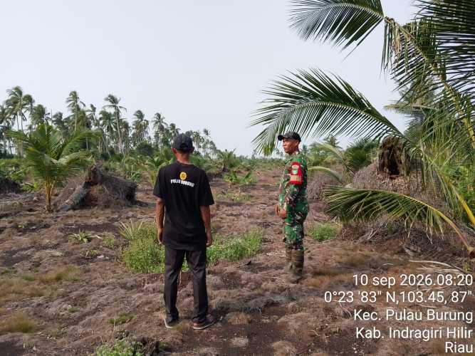 Babinsa Pulau Burung Gelar Patroli Tapal Batas Guna Cegah Dini Karhutla