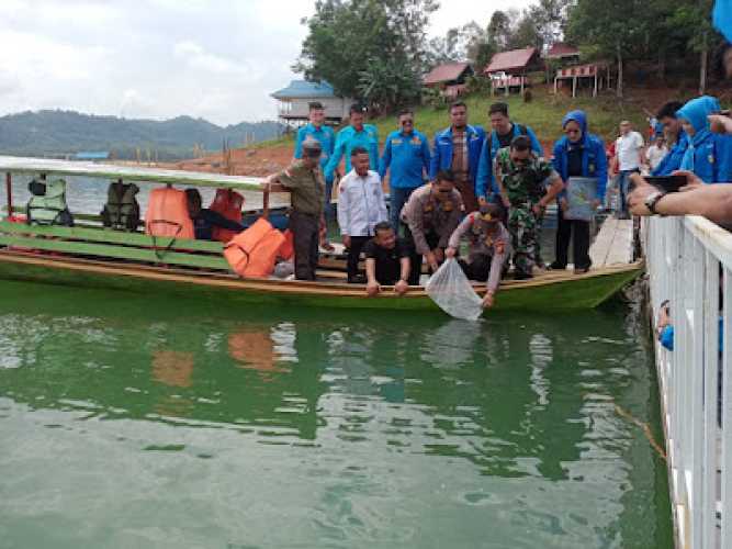 Dihadiri KNPI Kabupaten dan Kota, DPD KNPI Riau Fuad Santoso Lakukan Tabur Benih Ikan dan Penanaman Pohon di Kampar