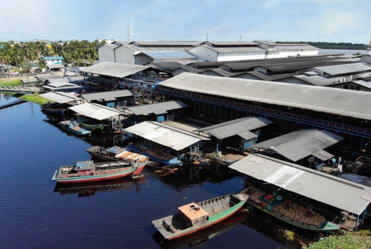 Kelangkaan Kelapa Berimbas Turunnya Produksi dan Pengurangan Tenaga Kerja di PT RSUP