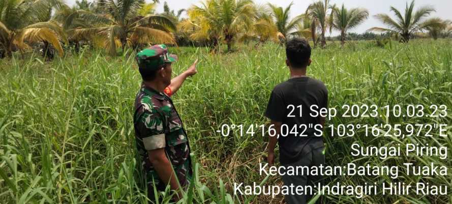 Serda Fero Tanggapi Pengaduan Karhutlah  di Desa Pasir Mas