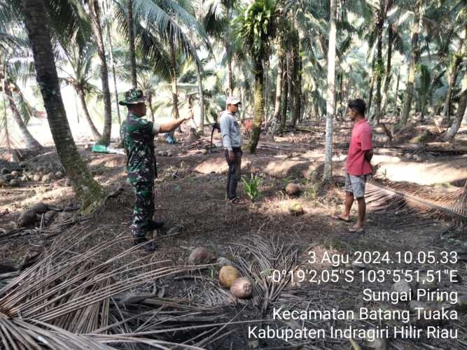 Serda Fero A.Duha Lakukan Identifikasi Dampak Karhutlah dan Solusinya