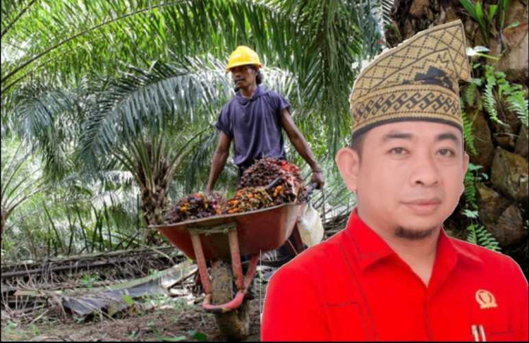 DPRD Inhu Soroti Nasib Buruh Pasca Penyitaan Kebun Sawit oleh Satgas PKH