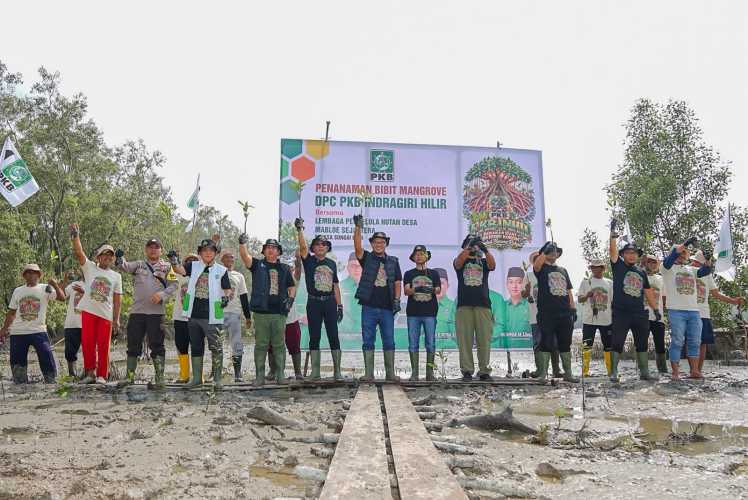 PKB Inhil Tanam 10.000 Bibit Mangrove di Desa Sungai Bela, Dukung Indonesia Hijau