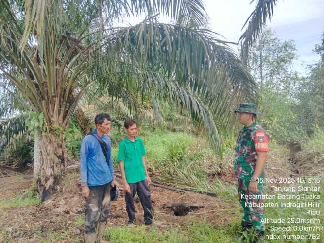 Babinsa Koramil 12/BTK Laksanakan Sosialisasi Analisis Biaya Usaha Tani dan Patroli Tapal Batas di Desa Tanjung Siantar