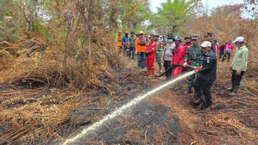 Patroli Udara Pastikan Kondisi Karhutla Pelalawan Terkendali