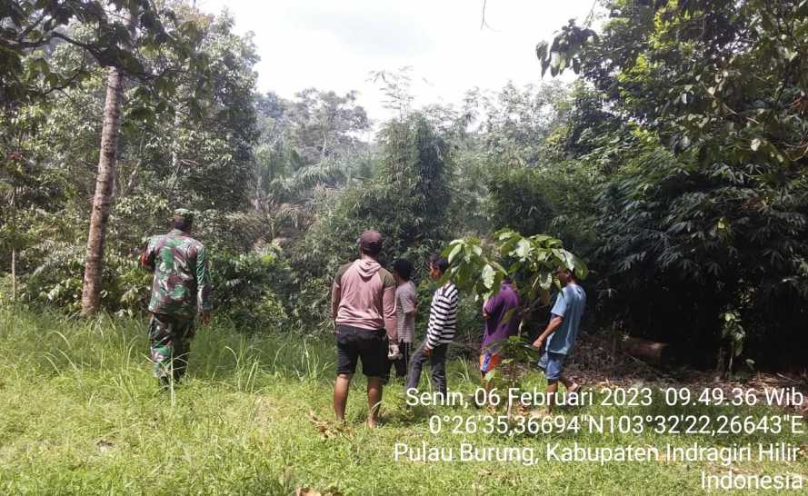 Babinsa Menjaga Stabilitas Lahan dari Kathutlah