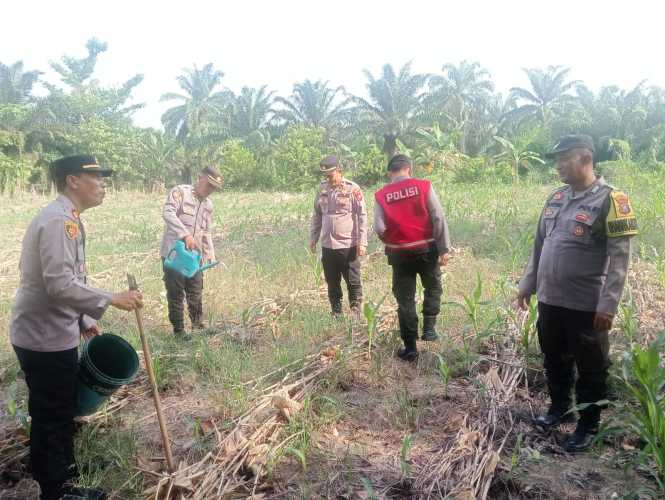 Kapolsek Indrapura Laksanakan Pengecekan Lahan Ketahanan Pangan untuk Mendukung Program Pemerintah