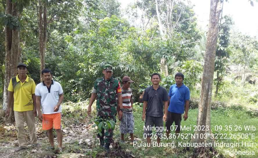 Babinsa Jaga  Ekosistem Hutan Alam Setempat