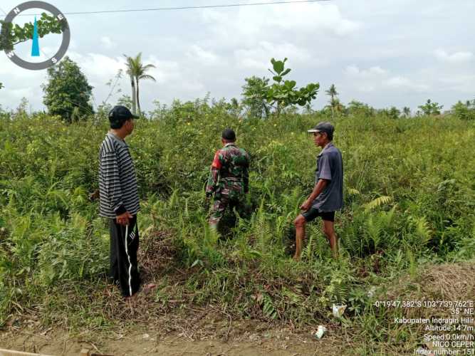 Babinsa Koramil 01/Tbh Laksanakan Patroli Tapal Batas dan Pantau Calon Lahan Ketahanan Pangan di Tembilahan Barat