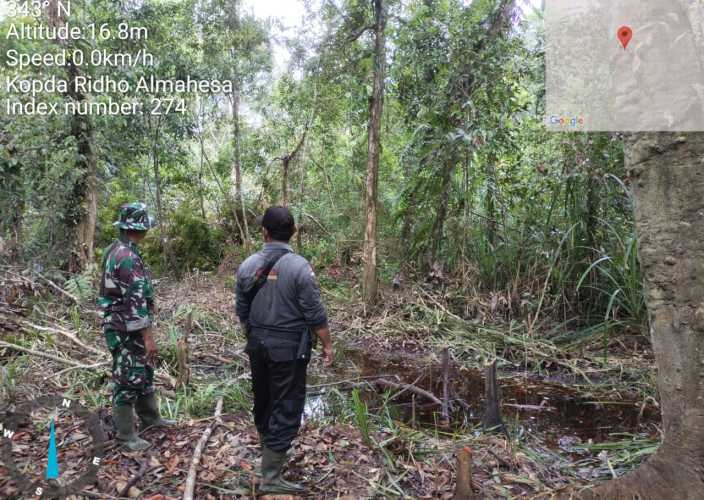 Babinsa Aktif Patroli Hutan Lindung