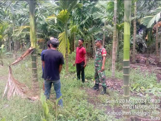 Babinsa Pulau Burung Lakukan Patroli Koordinasi Karhutlah